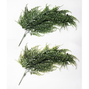 KYTICA PAPRADIA ZELENÁ UV ZLOŽENÁ 2 SORTIMENTY