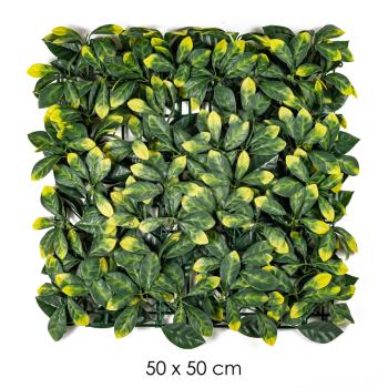 LISTOVÁ KOCKA 50CMX50CM