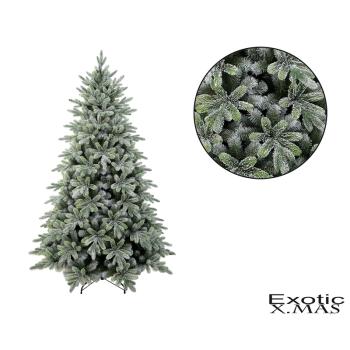 BOROVICA, DERES, 982 VETIEV