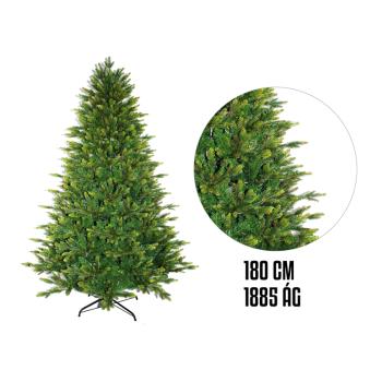 BOROVICA, 1885 VETVY, HUSTÉ, ZELENÉ