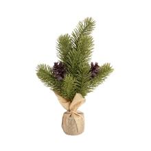 BOROVICA, JUTOVÉ VRECIA, BOROVICOVÁ ŠIŠKA, ZELENÁ