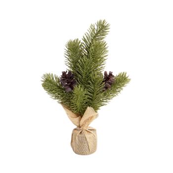 BOROVICA, JUTOVÉ VRECIA, BOROVICOVÁ ŠIŠKA, ZELENÁ