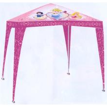 DINSEY NAPSÁTOR, PRINCEZNÉ