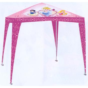 DINSEY NAPSÁTOR, PRINCEZNÉ