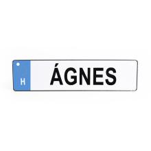 TABUĽKA S EVIDENČNÝM ČÍSLOM "ÁGNES"