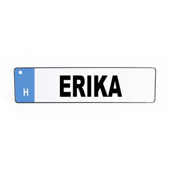 POZNÁVACIA ZNAČKA "ERIKA"