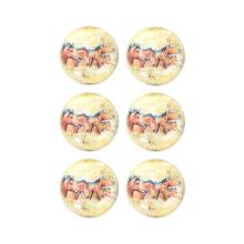 SKLENENÉ MAGNETKY V DARČEKOVEJ KRABIČKE, 6 KUSOV, STÁDO KONÍ