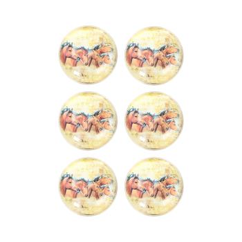 SKLENENÉ MAGNETKY V DARČEKOVEJ KRABIČKE, 6 KUSOV, STÁDO KONÍ