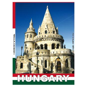 KOVOVÁ MAGNETKA NA CHLADNIČKU, RYBÁRSKY HAVRAN