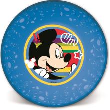 LICENCIA PLASTOVÝ HLBOKÝ TANIER, PRIEHĽADNÝ, MICKEY