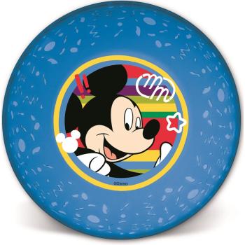 LICENCIA PLASTOVÝ HLBOKÝ TANIER, PRIEHĽADNÝ, MICKEY