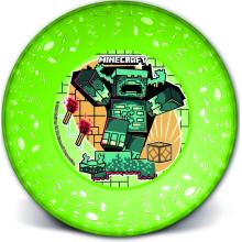 LICENCIA PLASTOVÁ HLBOKÁ DOSKA, PRIEHĽADNÁ, MINECRAFT