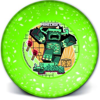 LICENCIA PLASTOVÁ HLBOKÁ DOSKA, PRIEHĽADNÁ, MINECRAFT