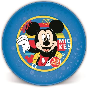 LICENCIA PLASTOVÝ PLOCHÝ TANIER, PRIEHĽADNÝ, MICKEY