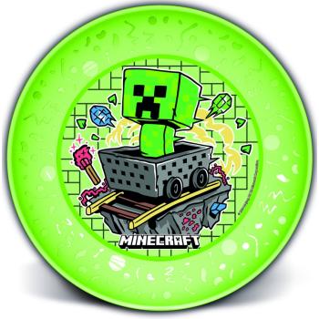 LICENCIA PLASTOVÁ DOSKA, PRIEHĽADNÁ, MINECRAFT