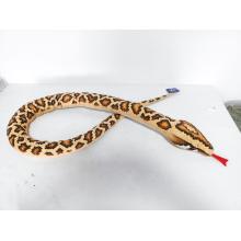 PLYŠOVÝ HAD, HNEDÝ