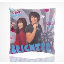 DISNEY PLYŠOVÝ VANKÚŠ HERCI